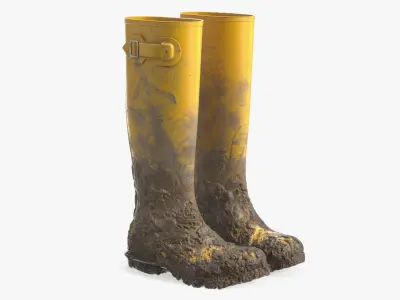 Dirt on Rubber Boots 3D model