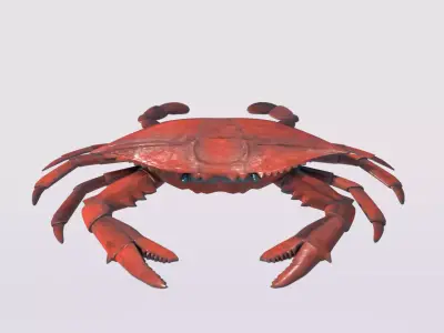 Crab 3DsMax model Free low-poly 3D model