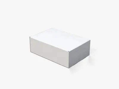  Mailer Boxes - White Rectangular Variants 