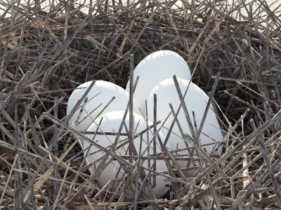  BIRDs NEST 3D model