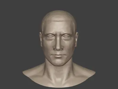 Man Head - Bust  3D model