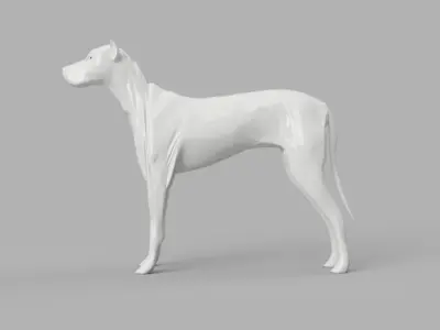 Dog 3D Model great dane 3D model