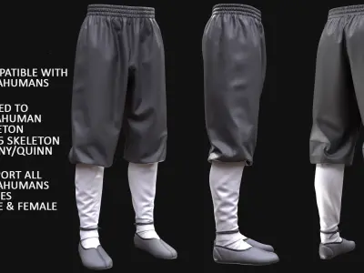 Pants 270 - All MH Bodies - UE5 Skeletons - Rigged Low-poly 3D model
