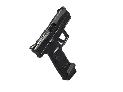 Tisas PX-9 2  0 Duty Comp 3D print model