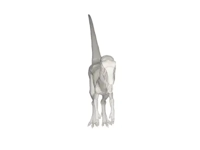Dinosaur 3D model purchase
