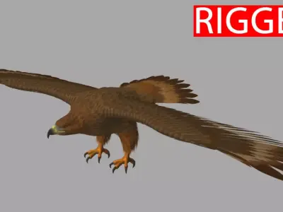 Eagle hawk flying in sky 3D model