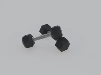 Dumbbell 10 KG Low-poly 3D model