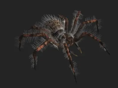 Spider rigged Low-poly 3D model