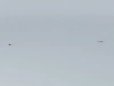 Ships boat floating in water Free 3D model