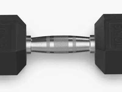 Rubber Dumbbell 10kg 3D model