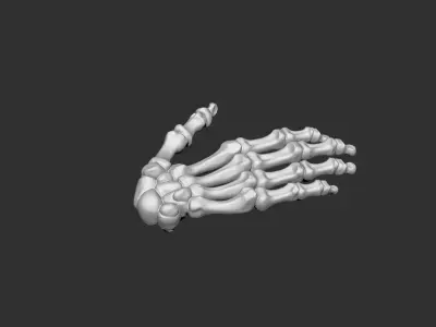 hand human anatomy bones 3D print model