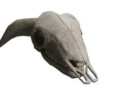 Game optimized Demon Cow Skull Creature Low-poly 3D model