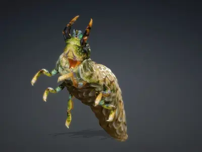 Larval-V1d 3D model
