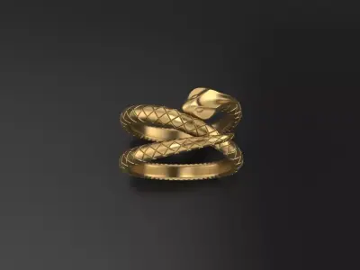 Ring snake 3D print model