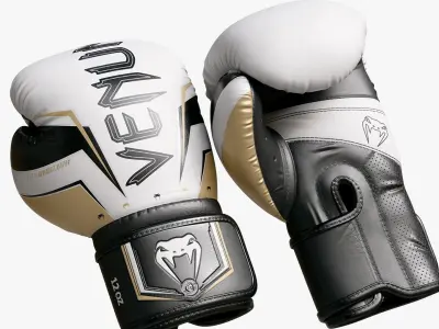 Boxing Punch Gloves White Venum Elite Evo 3D model