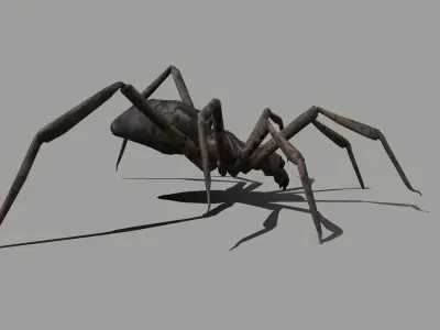 Spider Low-poly 3D model get