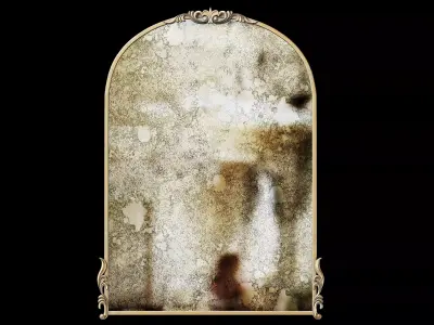 NICOLE MILLER HOME Ornate Arch Mirror 3D model