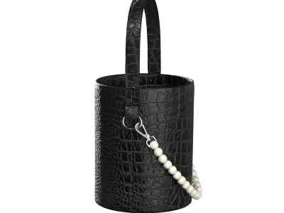 Pearl Handle Bucket Bag 3D model