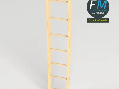 Single straight wood ladder 3D model