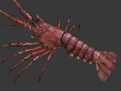 Australian lobster Low-poly 3D model