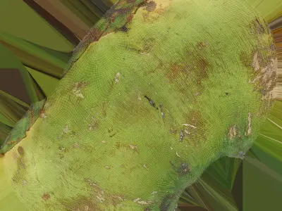 Green Coconut Collection 2 3D model