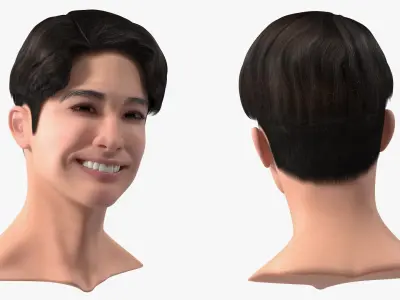 Asian Man Heads Collection 3D model