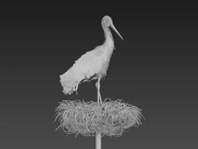 Stork 3D model feathers  3D model