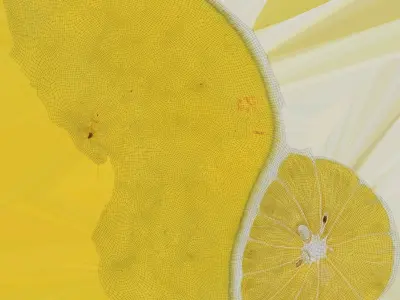  Lemon Collection 2 