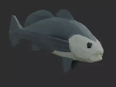 Low Poly Black Jewfish Low-poly 3D model