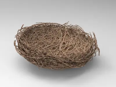 Bird Nest  Realistic Low-poly 3D model