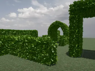 Hedge Low-poly 3D model