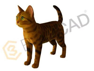 Cat 3D Model High Detail Realistic or Stylized 3D model