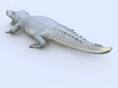 Gharial 3D model