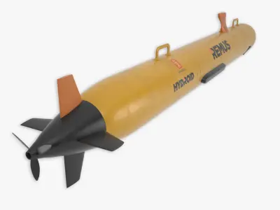 Remus 100 3D model