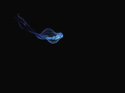 Jellyfish 3D model buy