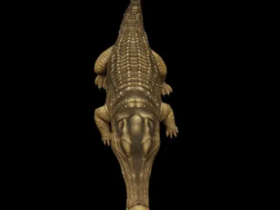 Alligator Animated Low-poly 3D model