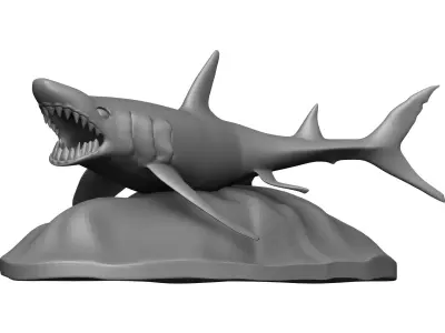 Shark 3D model 14