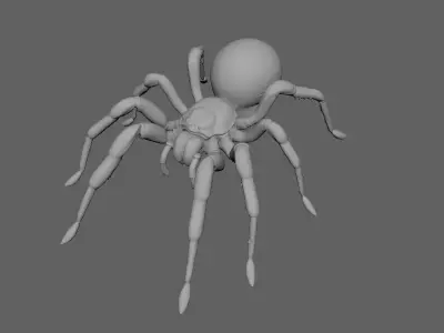 Spider 3D model 16