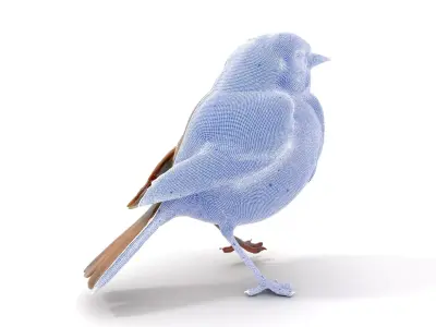 Golden Feathered Bird model pack Low-poly 3D model