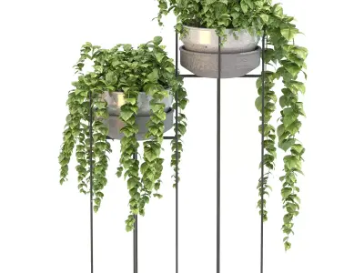 Metal Standing With Money Plant 3D model