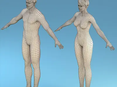 Base Character Male or female 3D model