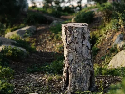  Medium Cut Flaking Conifer Stump Model 