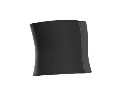 Black E-Band Zip Belt 3D model