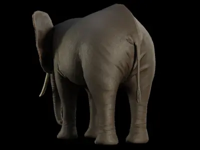 Animal Elephant Low-poly 3D model