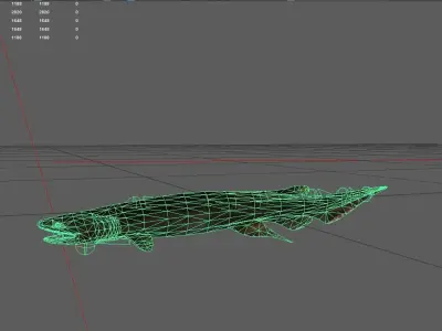 Shark Low-poly 3D model 42