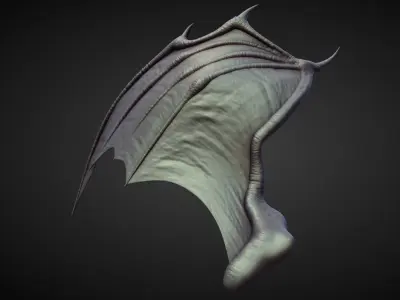 WING29 high poly sculpt 3D model