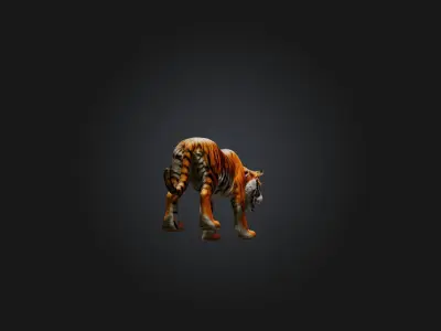 Realistic Tiger Low-poly 3D model