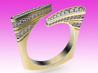 Ring Gloss 3D print model