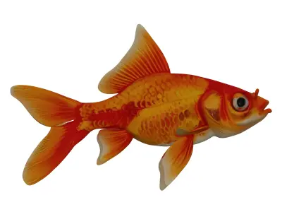 Goldfish 3D ModelLow Pol PBR TexturedGame Ready  Low-poly 3D model