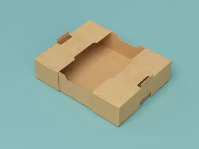 Packing Box Model 3D model